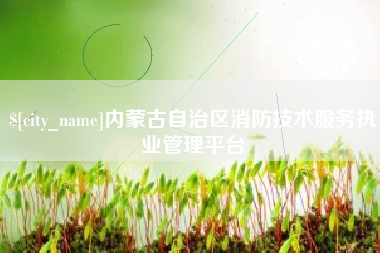 金湖内蒙古自治区消防技术服务执业管理平台