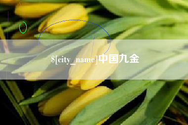 金湖中国九金