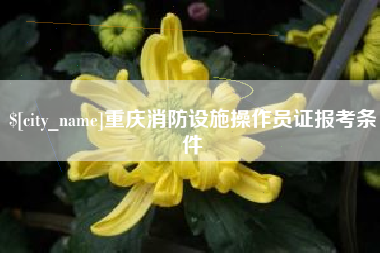 金湖重庆消防设施操作员证报考条件