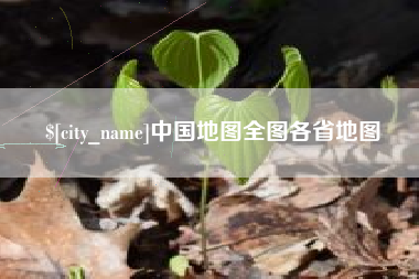 金湖中国地图全图各省地图