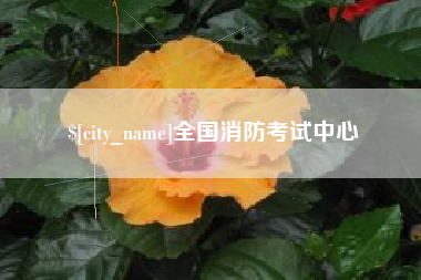 金湖全国消防考试中心