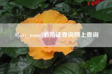 金湖消防证查询网上查询
