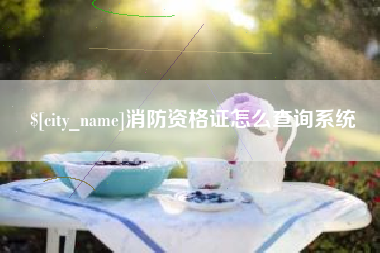 金湖消防资格证怎么查询系统