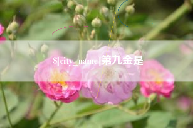 金湖第九金是