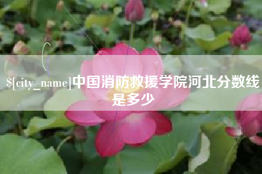 金湖中国消防救援学院河北分数线是多少
