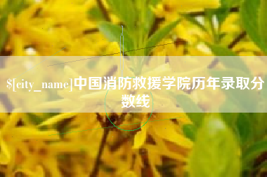 金湖中国消防救援学院历年录取分数线