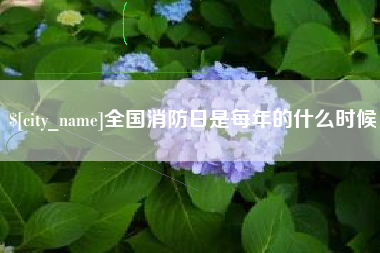 金湖全国消防日是每年的什么时候