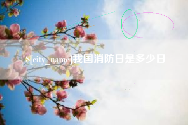 金湖我国消防日是多少日