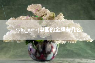 金湖中国的金牌有几名