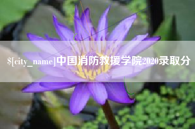 金湖中国消防救援学院2020录取分