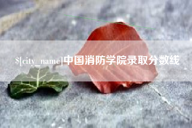 金湖中国消防学院录取分数线