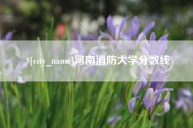 金湖河南消防大学分数线