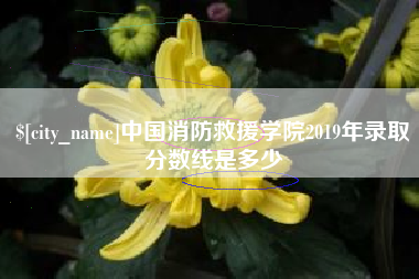 金湖中国消防救援学院2019年录取分数线是多少
