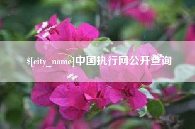 金湖中国执行网公开查询