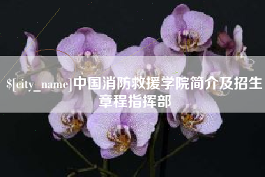 金湖中国消防救援学院简介及招生章程指挥部