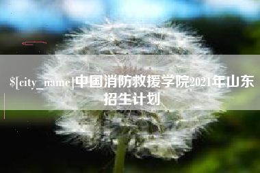金湖中国消防救援学院2021年山东招生计划