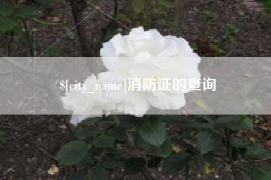金湖消防证的查询