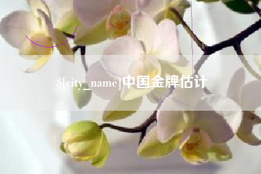金湖中国金牌估计