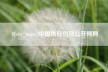 金湖中国执行信息公开网网