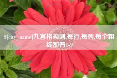 金湖九宫格规则,每行,每列,每个粗线都有1-9