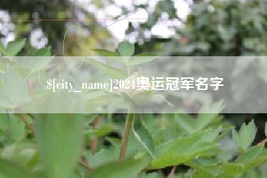 金湖2024奥运冠军名字
