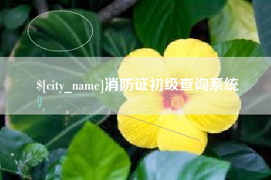 金湖消防证初级查询系统