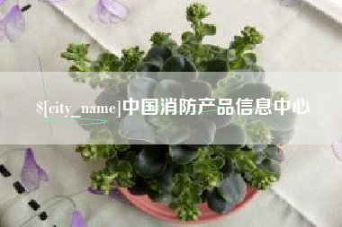 金湖中国消防产品信息中心
