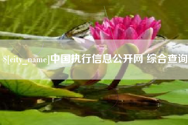 金湖中国执行信息公开网 综合查询