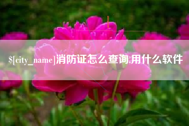 金湖消防证怎么查询,用什么软件