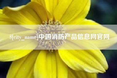 金湖中国消防产品信息网官网