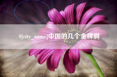 金湖中国的几个金牌啊