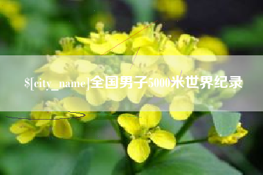 金湖全国男子5000米世界纪录
