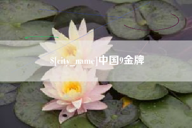 金湖中国9金牌