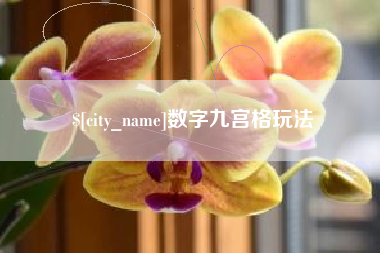 金湖数字九宫格玩法
