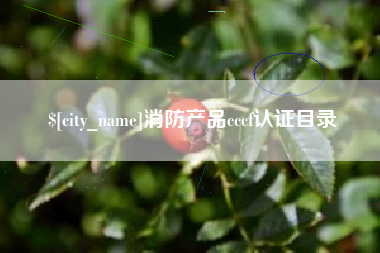 金湖消防产品cccf认证目录