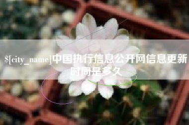 金湖中国执行信息公开网信息更新时间是多久
