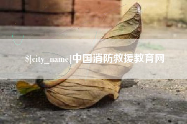 金湖中国消防救援教育网