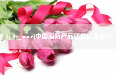 金湖中国消防产品质量信息查询