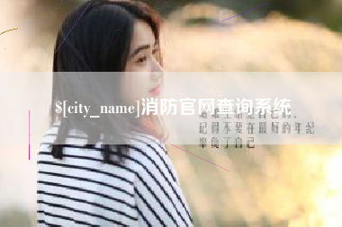 金湖消防官网查询系统