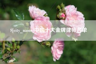 金湖中国十大金牌律师名单