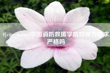 金湖中国消防救援学院对视力要求严格吗