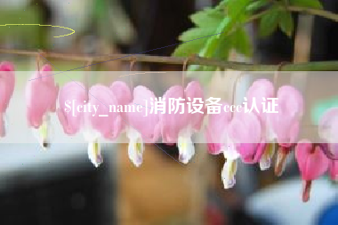 金湖消防设备ccc认证