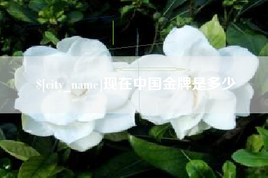 金湖现在中国金牌是多少