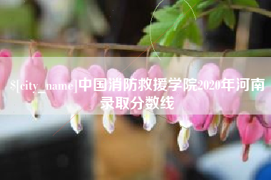 金湖中国消防救援学院2020年河南录取分数线