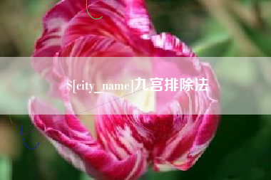 金湖九宫排除法