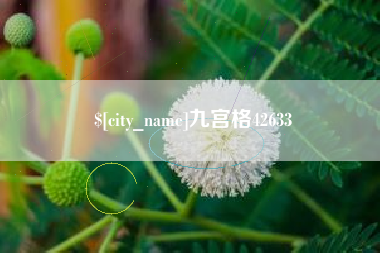 金湖九宫格42633