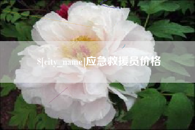 金湖应急救援员价格