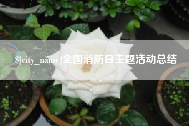 金湖全国消防日主题活动总结