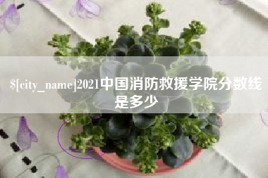 金湖2021中国消防救援学院分数线是多少