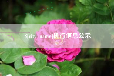 金湖执行信息公示